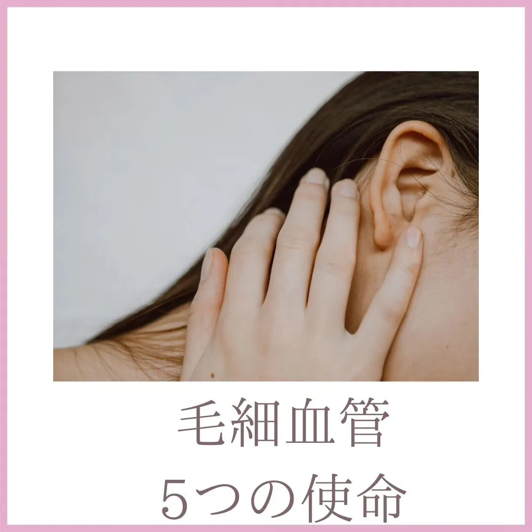 【毛細血管の5つの使命！】