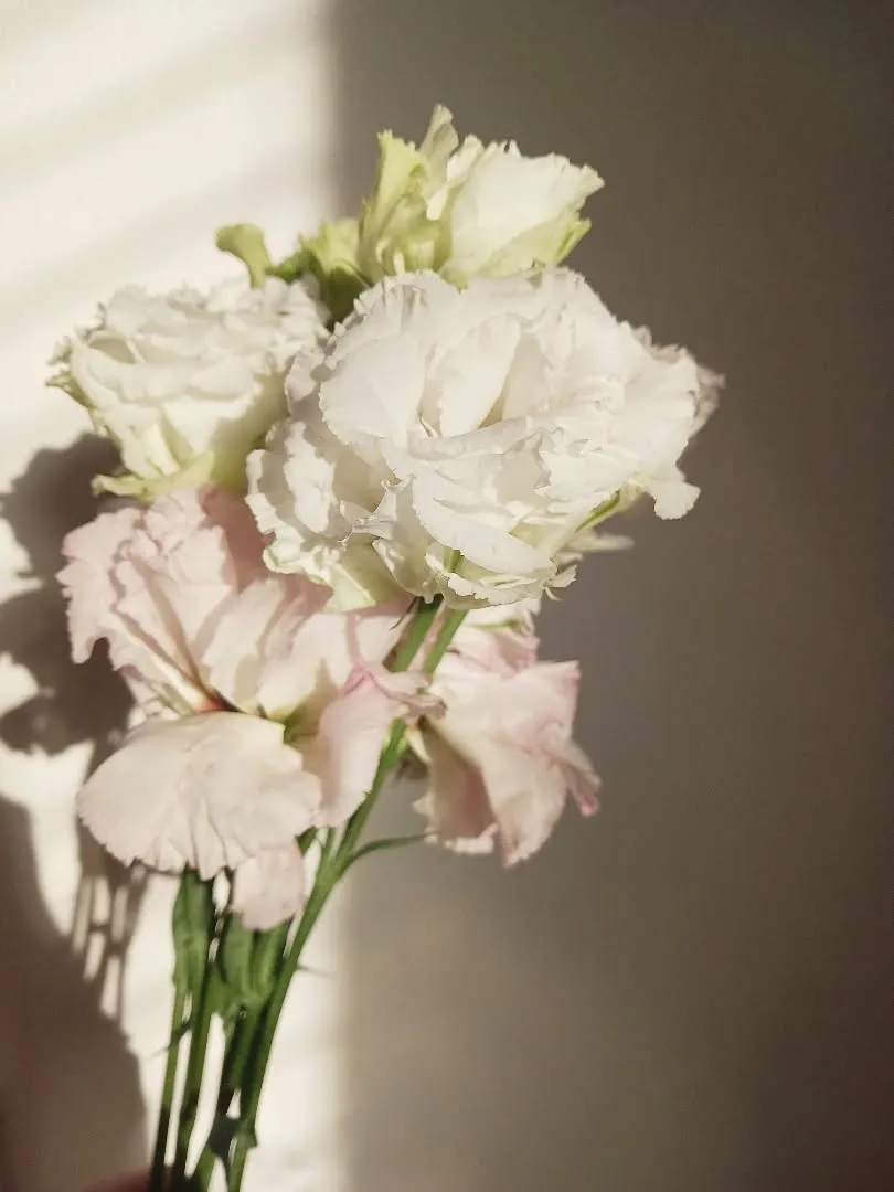 花が咲くには、