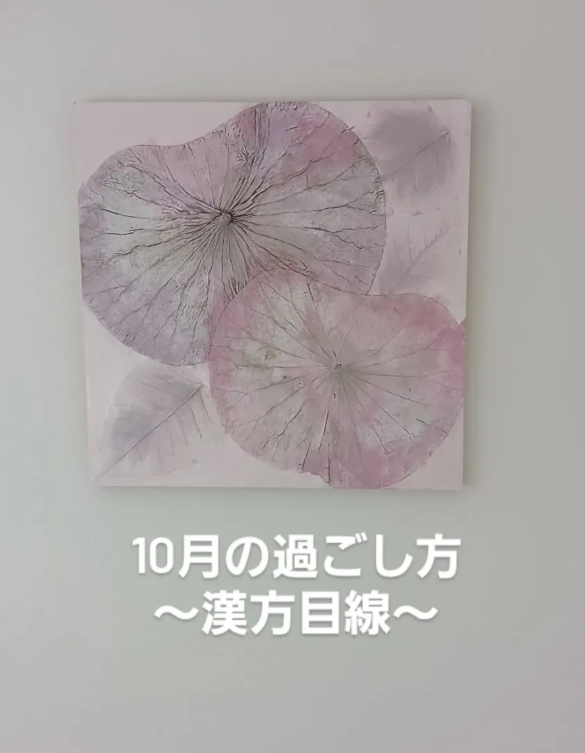 🌾10月の漢方的な過ごし方