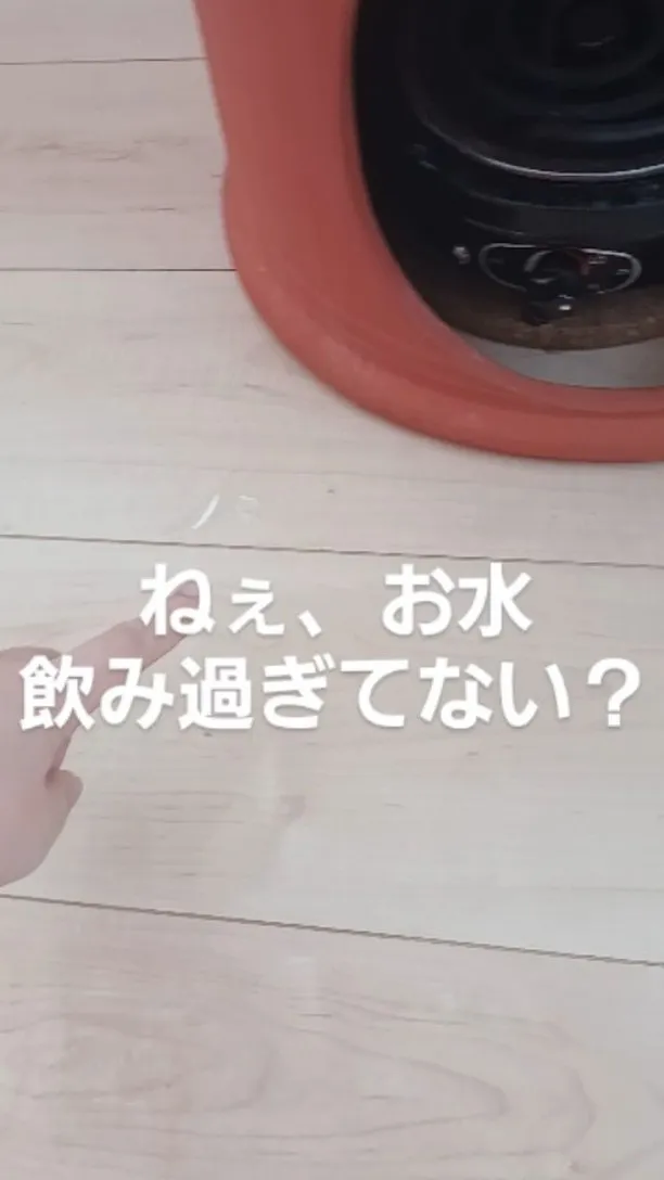 【水も毒になる。