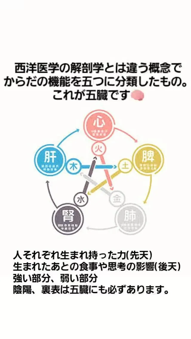 黄土漢方蒸しは「五臓の巡りを整え、冷えと湿を取り除き、自然治...