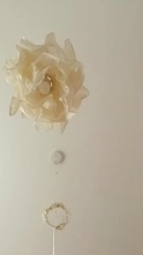 【なぜ子宮のケア、デリケートゾーンケアが大事なのか】